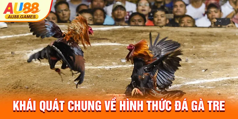 Khái quát chung về hình thức đá gà tre