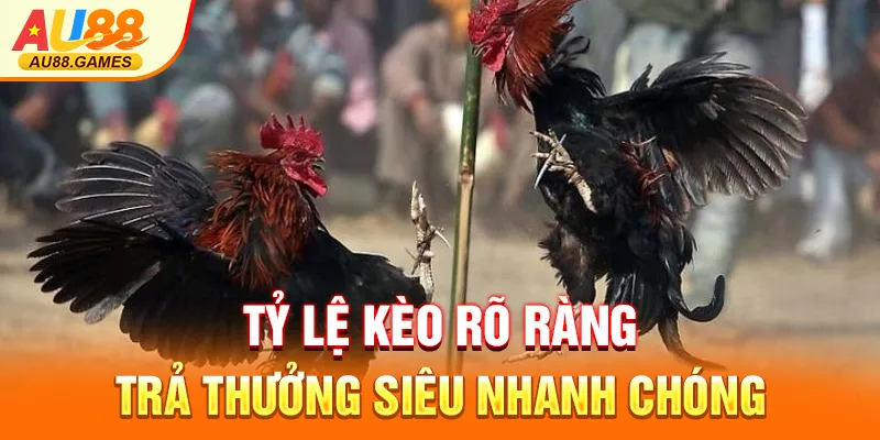 Tỷ lệ kèo rõ ràng trả thưởng siêu nhanh chóng